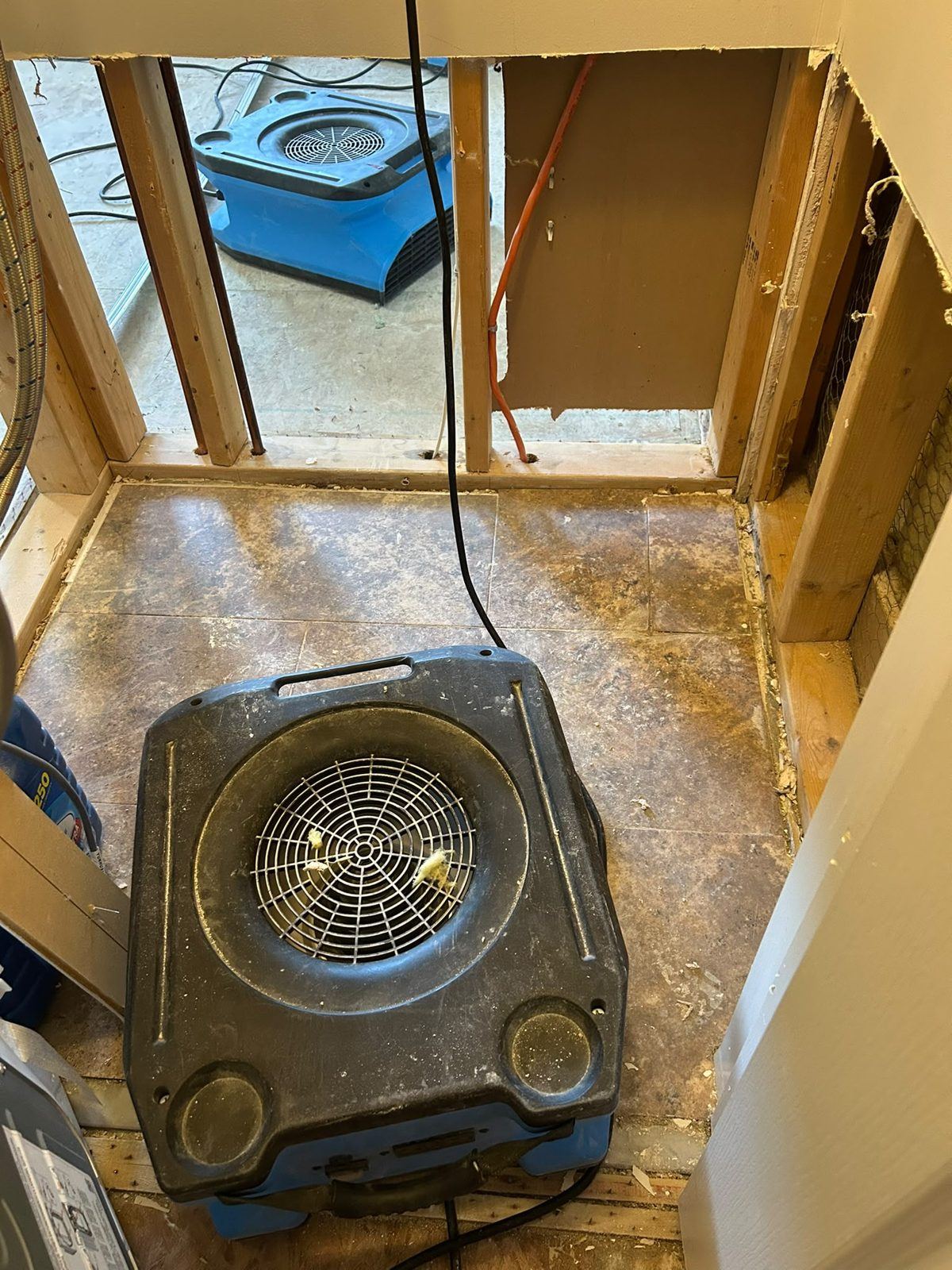 Air mover drying an opened wall cavity after water damage