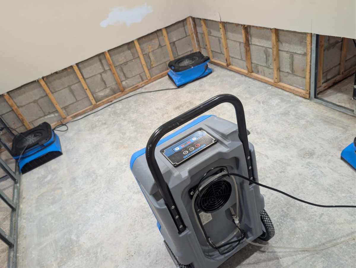 Dehumidifier and air movers drying a basement corner with the drywall cut back to the block