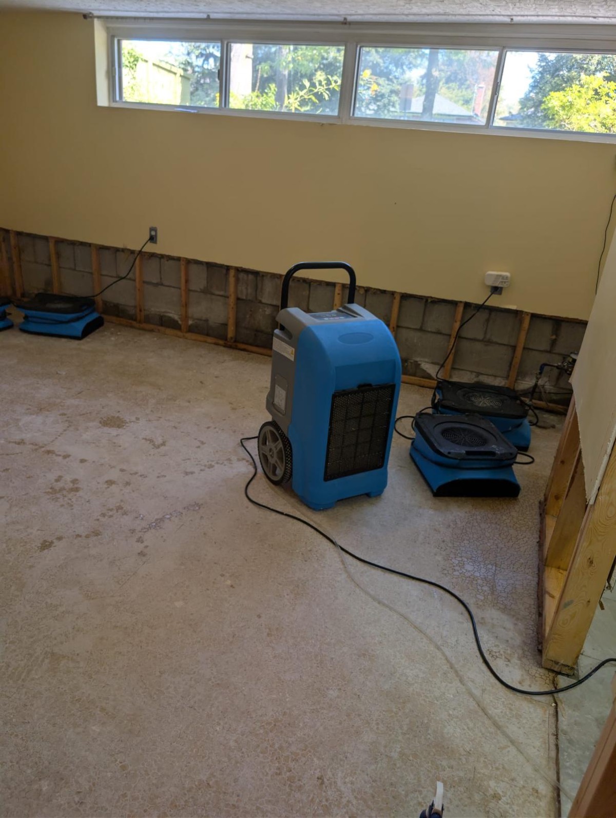 Dehumidifier and air movers drying a basement with the drywall cut back to the block wall