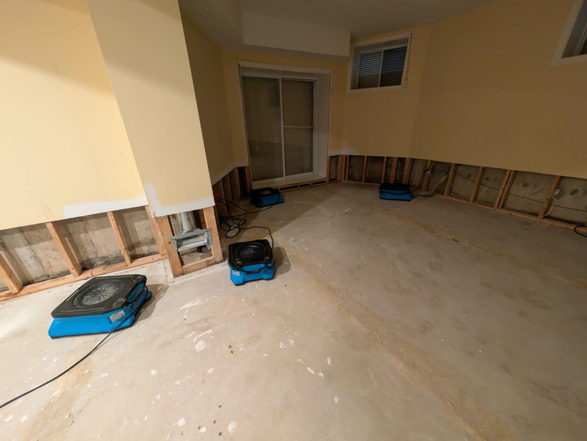 Dehumidifier and air mover drying a bedroom with the drywall cut out and the contents sheeted
