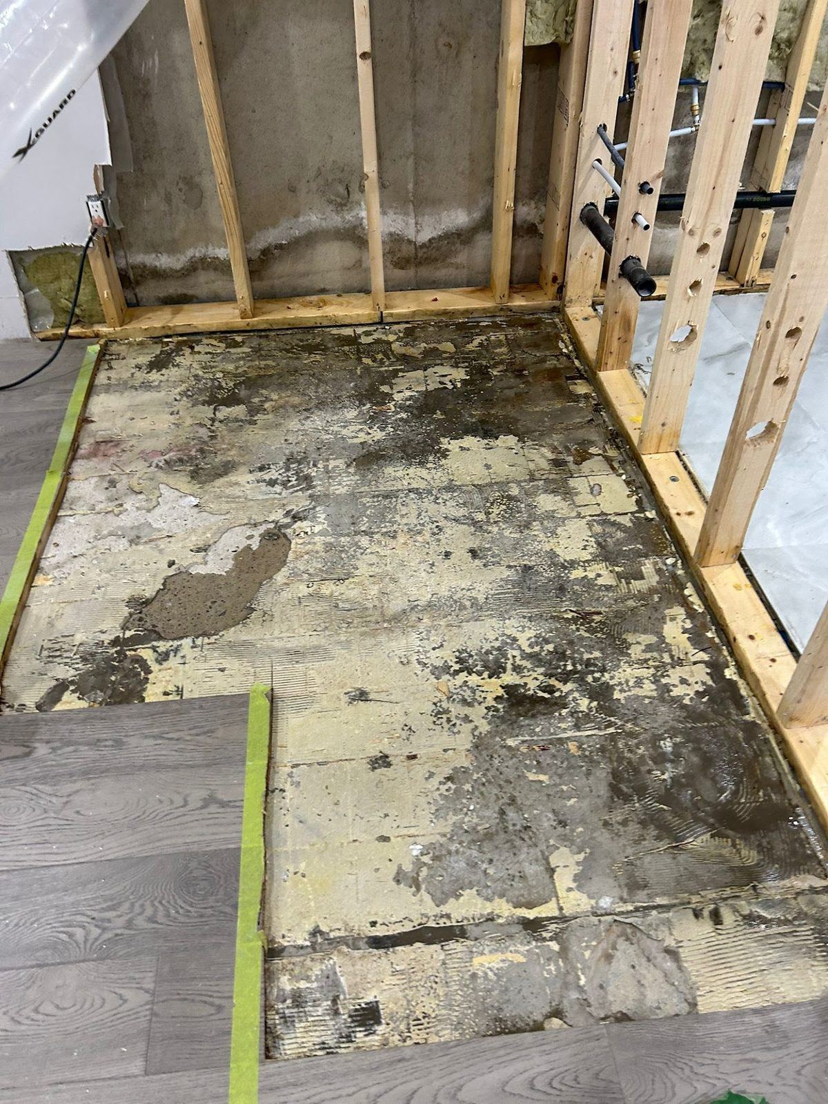 Black mold on the subfloor and wall framing after water-damaged drywall was removed