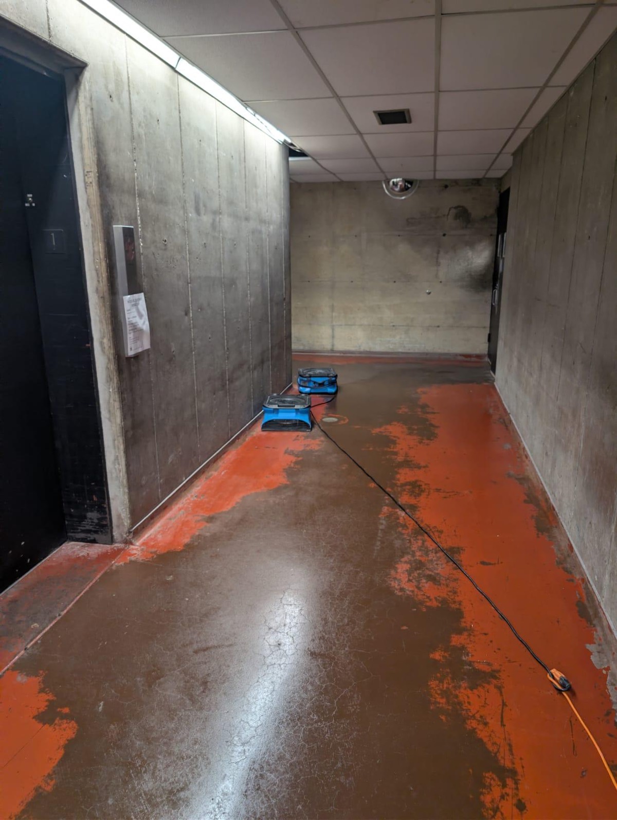 Air movers drying a concrete corridor after the standing water was extracted